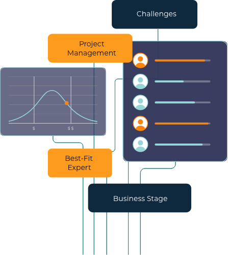 Paro Business Finance Experts